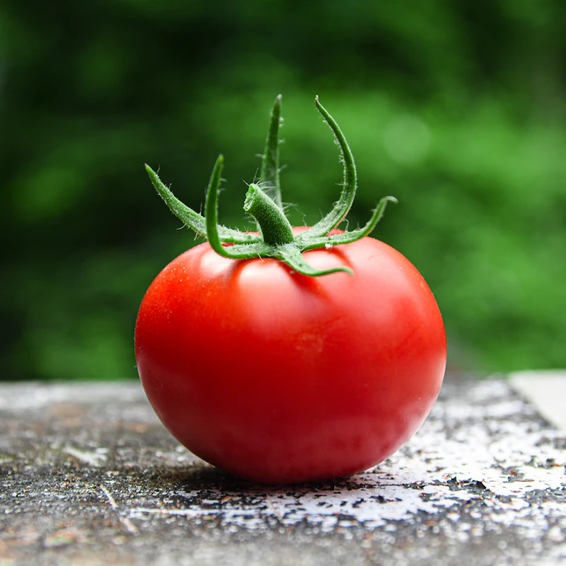 Heirloom Cherry Tomato Medley β Fresh Produce at Mega Sale