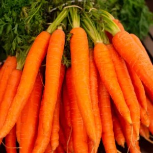 Rainbow Carrot Bunch — Fresh Produce at Mega Sale