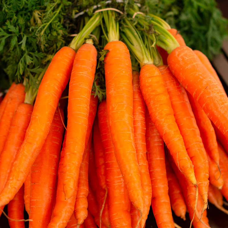 Rainbow Carrot Bunch β Fresh Produce at Mega Sale