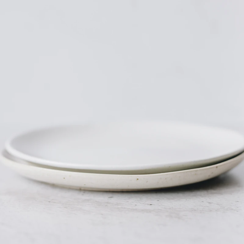Stoneware Dinner Plate Set of 4 β Home & Kitchen at Mega Sale